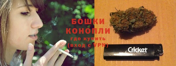 сатива Абинск
