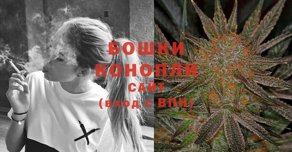 сатива Абинск