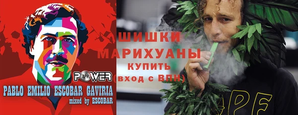 сатива Абинск