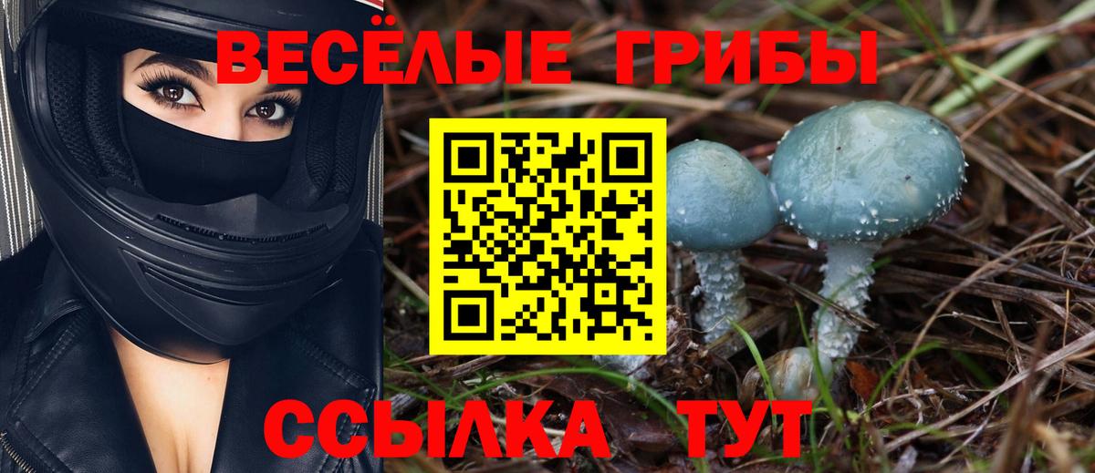 Галлюциногенные грибы Psilocybine cubensis  Вход с VPN  Соликамск 