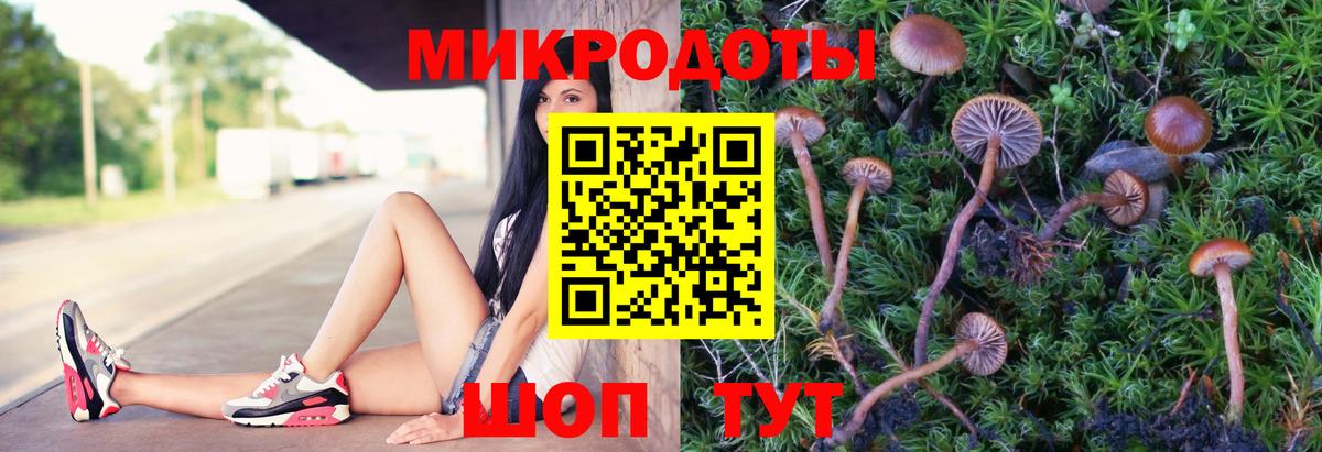 Псилоцибиновые грибы мицелий Соликамск